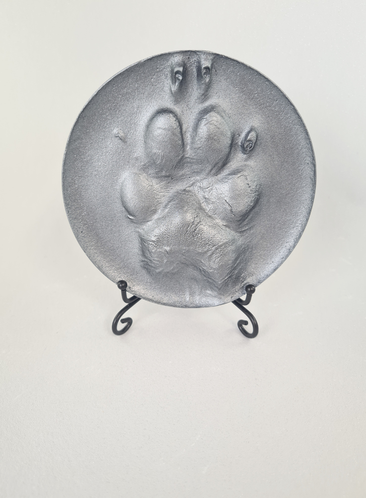 2D Paw Outprints
